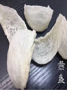 天然燕盏